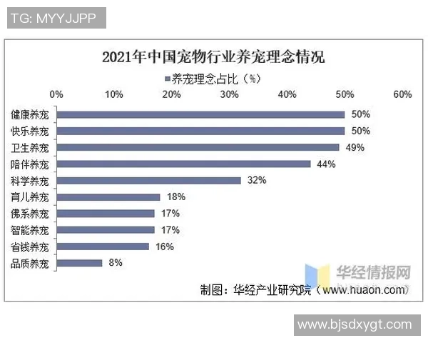 北京网球队的崛起与发展：探索其背后的力量与潜力分析