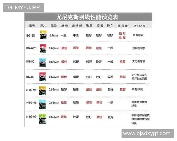 西安羽毛球队速度表现分析与提升策略探讨 西安羽毛球队速度表现分析与提升策略探讨