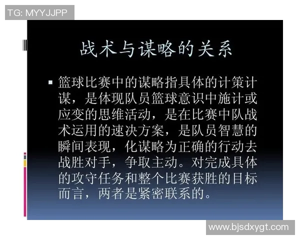 西安篮球队灵活性分析与战术创新探讨